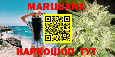 гашик Будённовск