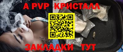 гашик Будённовск
