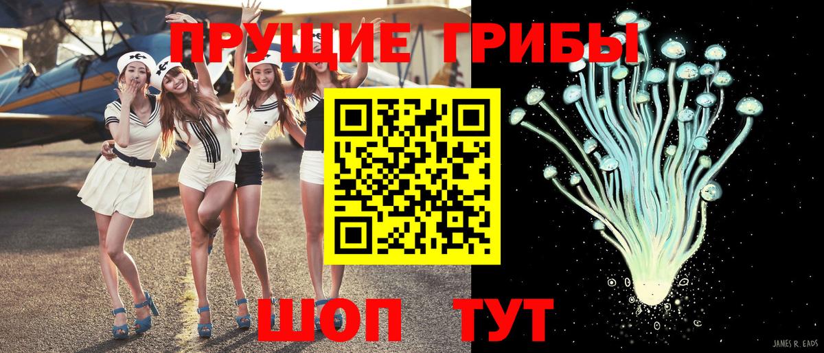 Новочеркасск  купить  сайты  Вход с VPN  Псилоцибиновые грибы мухоморы  Псилоцибиновые грибы прущие грибы 